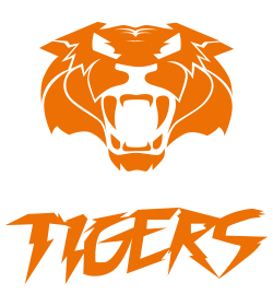 Tigers - Kampfsportschule Augsburg - Guido Fiedler
